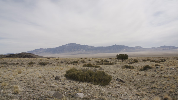 Desert#02