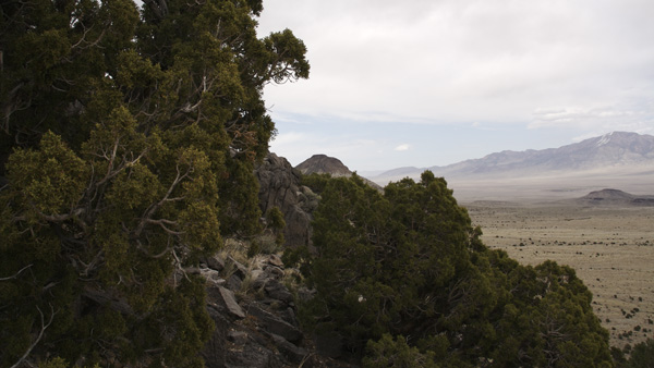 Desert#02