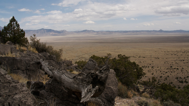 Desert01