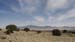 Desert#03